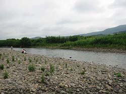 北海道の川