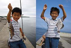 北海道岸壁釣り釣果　カレイメバル
