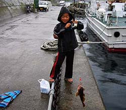 北海道釣り　カレイメバル